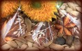 Blätter und Früchte